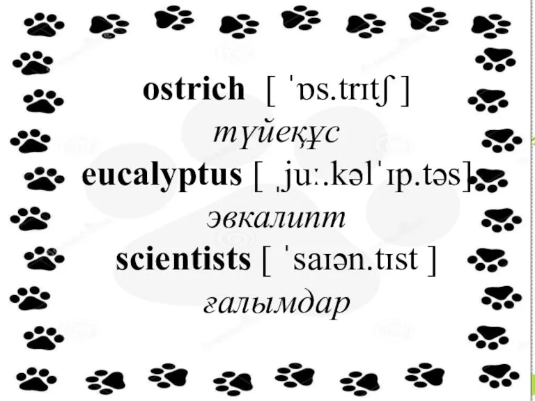 ostrich [ ˈɒs.trɪtʃ ] түйеқұс eucalyptus [ ˌjuː.kəlˈɪp.təs] эвкалипт scientists [ ˈsaɪən.tɪst ] ғалымдар