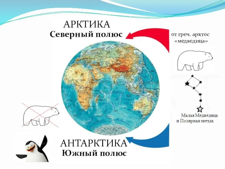 АРКТИКА АНТАРКТИКА Северный полюс Южный полюс от греч. арктос «медведица»
