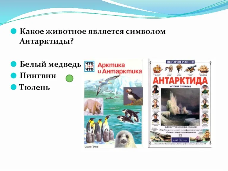 Какое животное является символом Антарктиды? Белый медведь Пингвин Тюлень