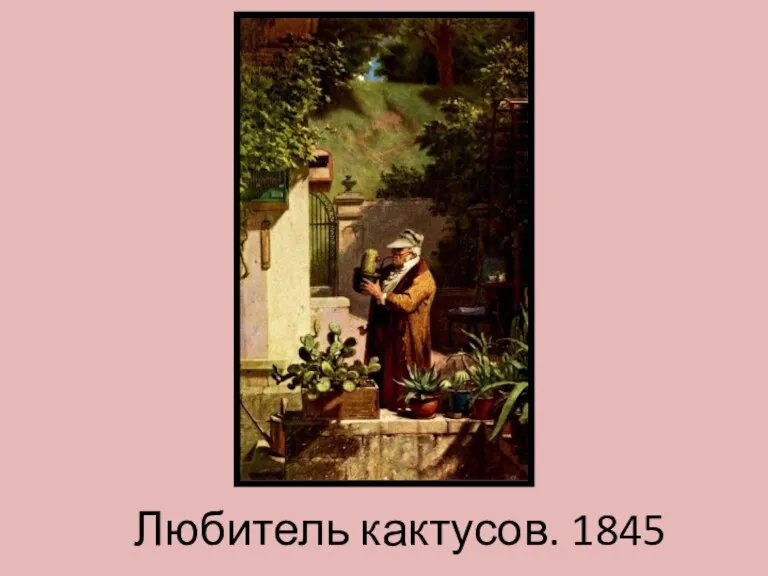 Любитель кактусов. 1845