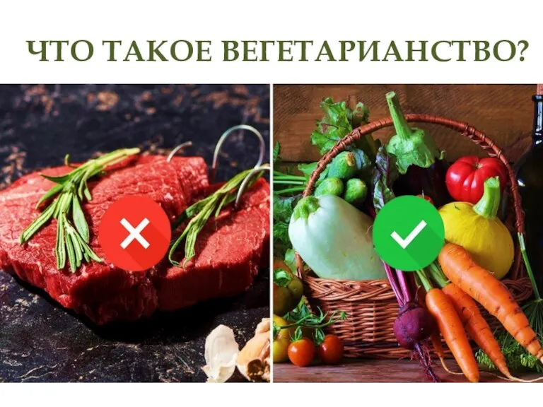 ЧТО ТАКОЕ ВЕГЕТАРИАНСТВО?