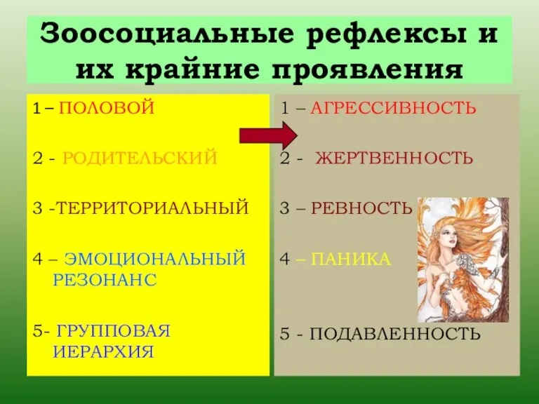 Зоосоциальные рефлексы и их крайние проявления 1 – ПОЛОВОЙ 2 - РОДИТЕЛЬСКИЙ