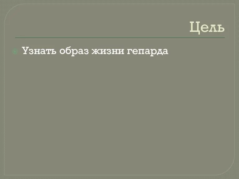 Цель Узнать образ жизни гепарда