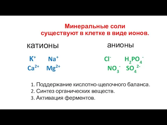 Минеральные соли существуют в клетке в виде ионов. катионы К+ Na+ Ca2+