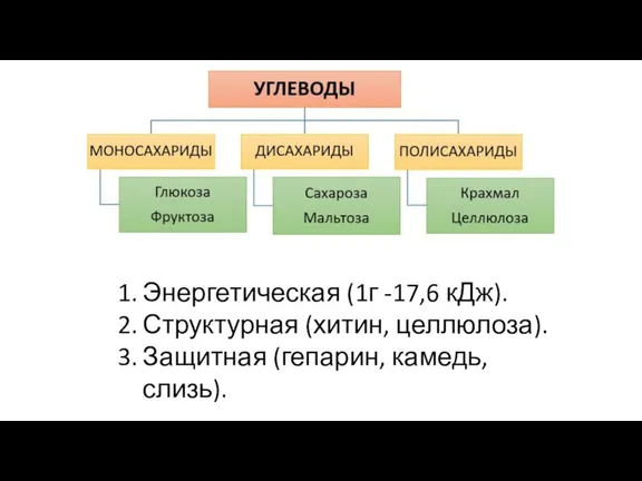 Энергетическая (1г -17,6 кДж). Структурная (хитин, целлюлоза). Защитная (гепарин, камедь, слизь).