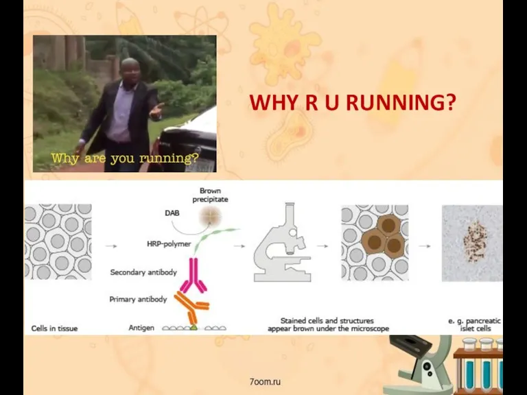 WHY R U RUNNING?