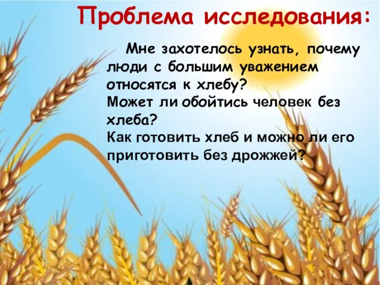 Мне захотелось узнать, почему люди с большим уважением относятся к хлебу? Может