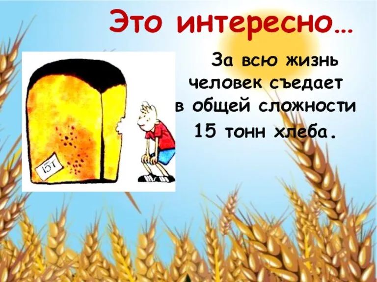 За всю жизнь человек съедает в общей сложности 15 тонн хлеба. Это интересно…