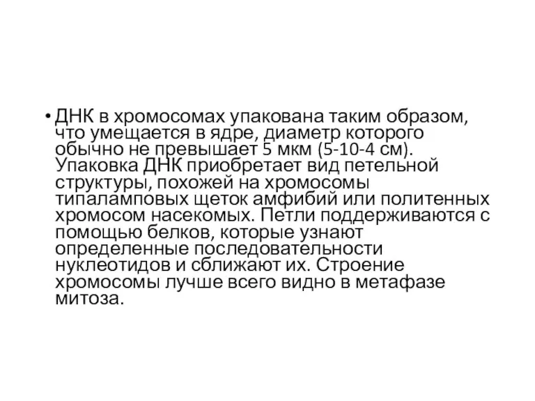 ДНК в хромосомах упакована таким образом, что умещается в ядре, диаметр которого