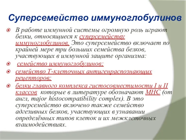 Суперсемейство иммуноглобулинов В работе иммунной системы огромную роль играют белки, относящиеся к