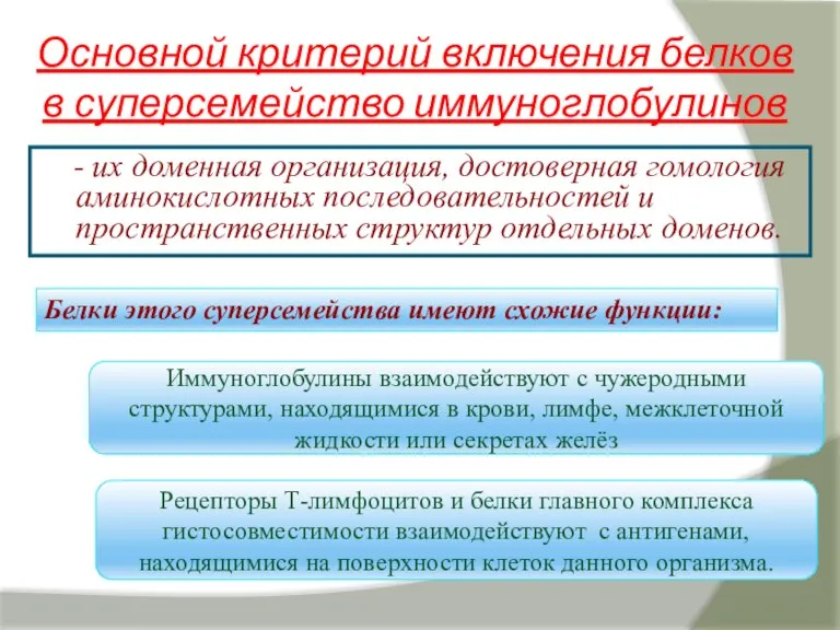 Основной критерий включения белков в суперсемейство иммуноглобулинов - их доменная организация, достоверная