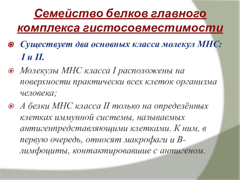 Семейство белков главного комплекса гистосовместимости Существует два основных класса молекул МНС: I