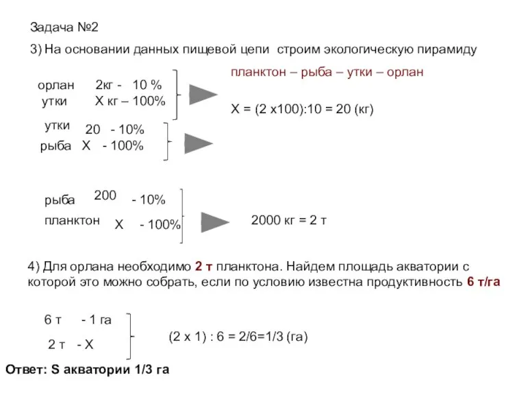 Задача №2 3) На основании данных пищевой цепи строим экологическую пирамиду планктон