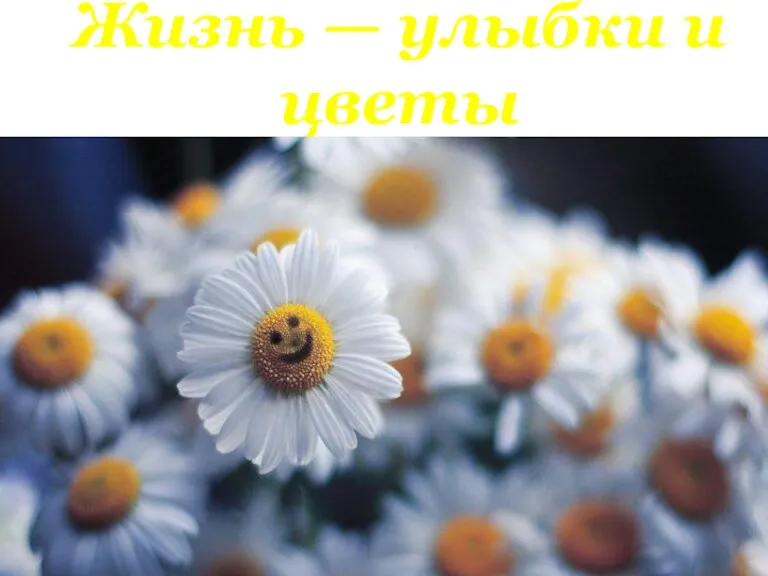 Жизнь — улыбки и цветы