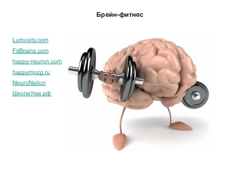 Брейн-фитнес Lumosity.com FitBrains.com happy-neuron.com happymozg.ru NeuroNation ШколаУма.рф