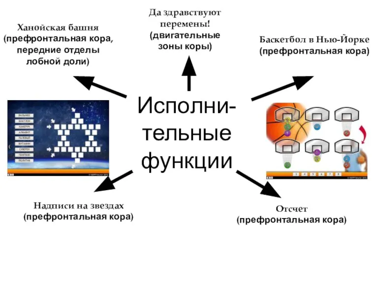 Исполни- тельные функции Да здравствуют перемены! (двигательные зоны коры) Ханойская башня (префронтальная