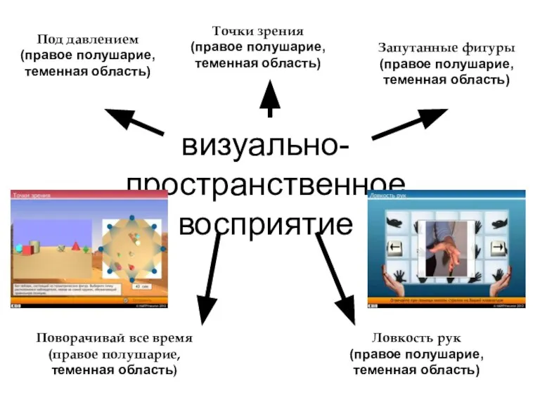 визуально- пространственное восприятие Точки зрения (правое полушарие, теменная область) Под давлением (правое