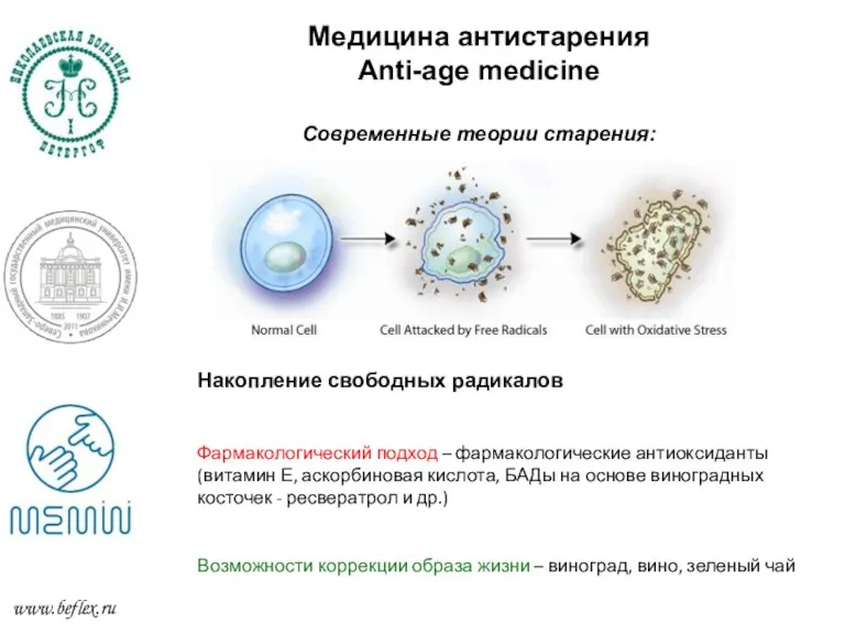 Медицина антистарения Anti-age medicine Современные теории старения: www.beflex.ru Накопление свободных радикалов Фармакологический