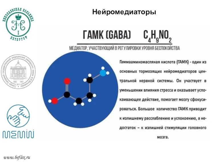 Нейромедиаторы Нейромедиаторы www.beflex.ru