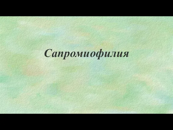 Сапромиофилия