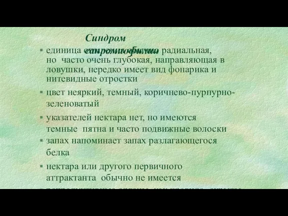 Синдром сапромиофилии единица опыления обычно радиальная, но часто очень глубокая, направляющая в