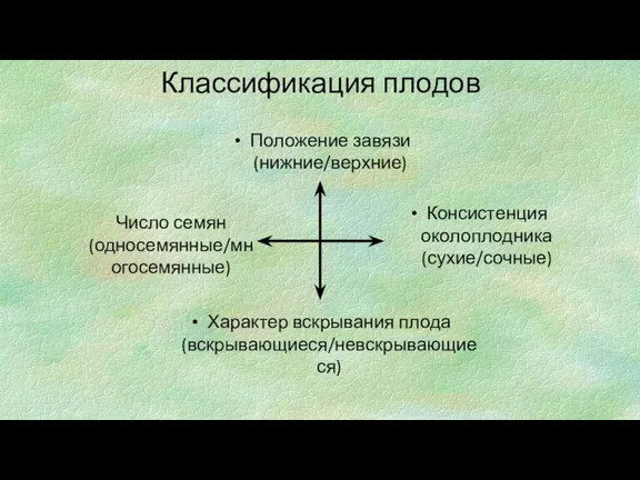 Классификация плодов Число семян (односемянные/многосемянные) Положение завязи (нижние/верхние) Характер вскрывания плода (вскрывающиеся/невскрывающиеся) Консистенция околоплодника (сухие/сочные)