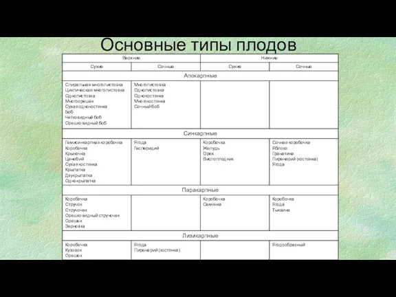 Основные типы плодов