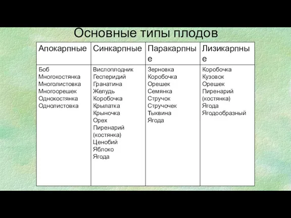 Основные типы плодов