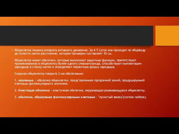 Яйцеклетка лишена аппарата активного движения. За 4–7 суток она проходит по яйцеводу