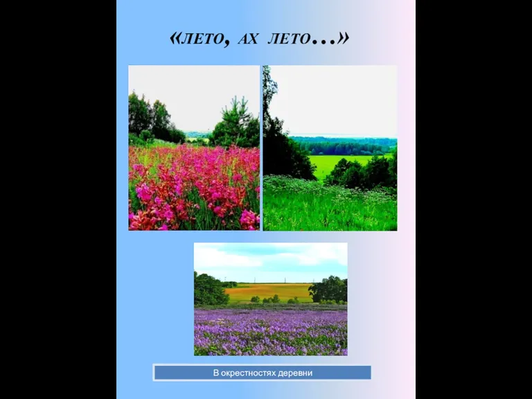 «ЛЕТО, АХ ЛЕТО…» В окрестностях деревни