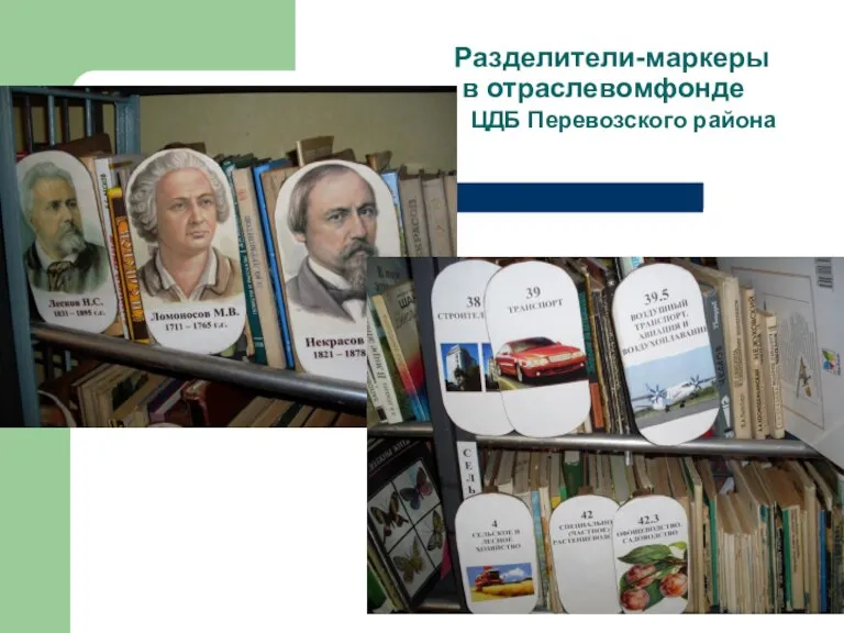 Разделители-маркеры в отраслевомфонде ЦДБ Перевозского района