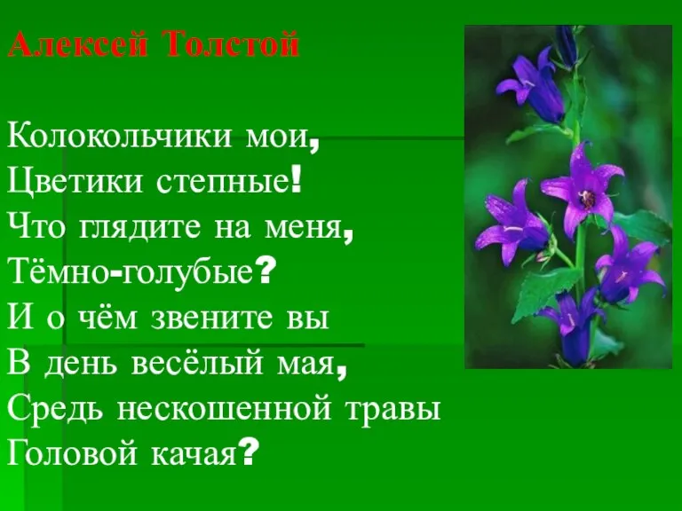 Алексей Толстой Колокольчики мои, Цветики степные! Что глядите на меня, Тёмно-голубые? И