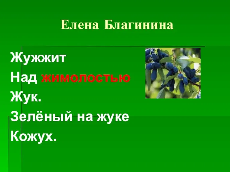 Елена Благинина Жужжит Над жимолостью Жук. Зелёный на жуке Кожух.