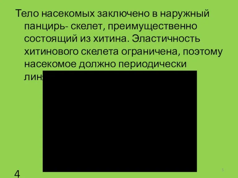 Тело насекомых заключено в наружный панцирь- скелет, преимущественно состоящий из хитина. Эластичность