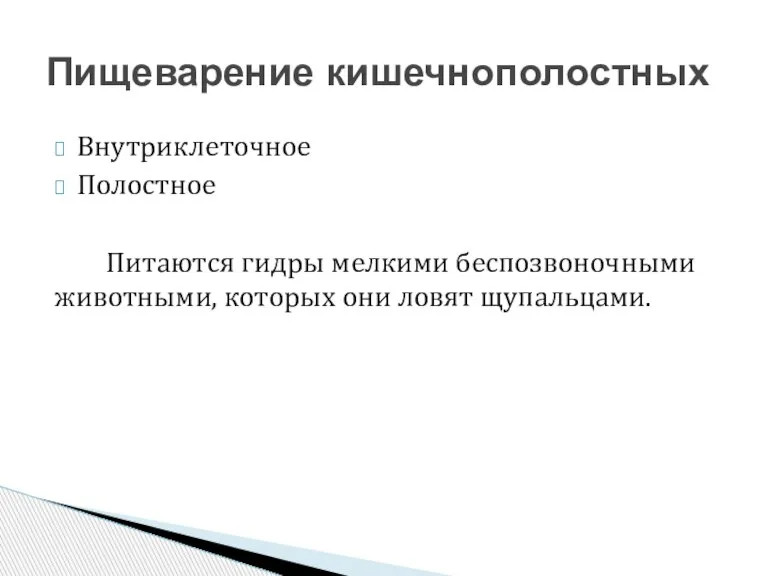 Внутриклеточное Полостное Питаются гидры мелкими беспозвоночными животными, которых они ловят щупальцами. Пищеварение кишечнополостных