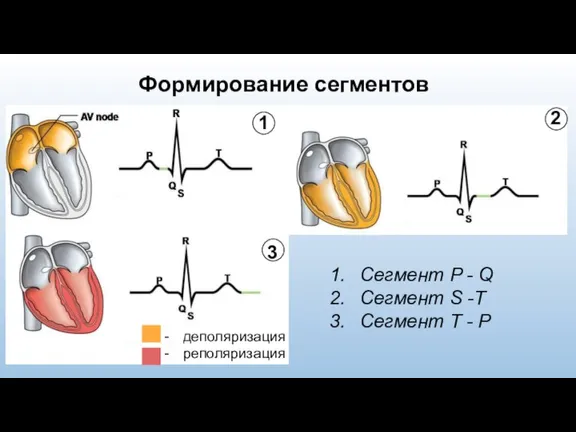 Формирование сегментов 1 2 3 Сегмент P - Q Сегмент S -T