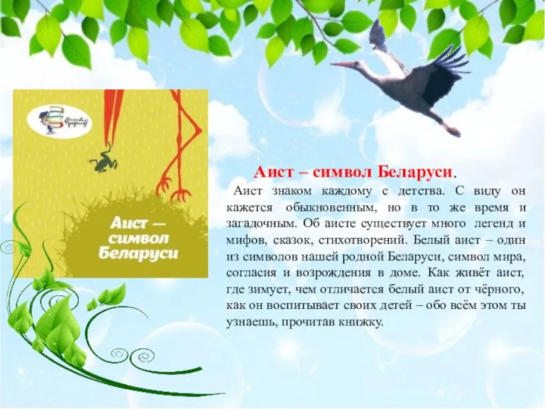 Аист – символ Беларуси. Аист знаком каждому с детства. С виду он