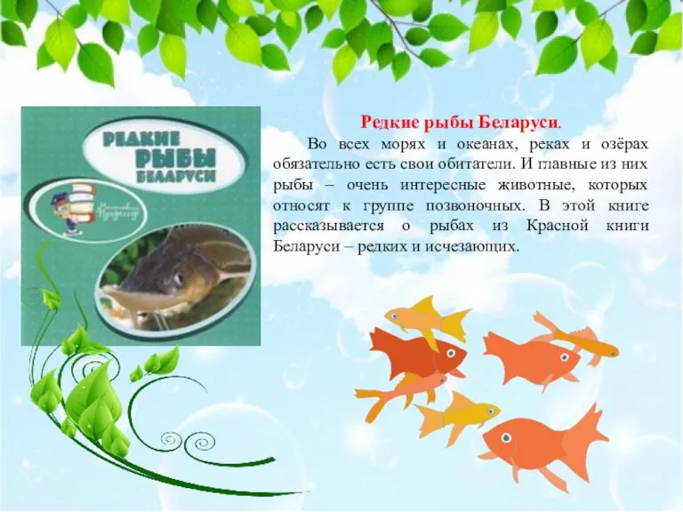 Редкие рыбы Беларуси. Во всех морях и океанах, реках и озёрах обязательно