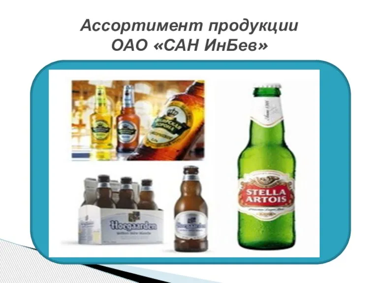 Ассортимент продукции ОАО «САН ИнБев»