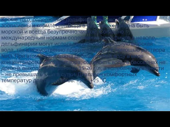 Кроме того, содержание дельфинов высокого уровне зоогигиены и кормления. Вода в бассейнах