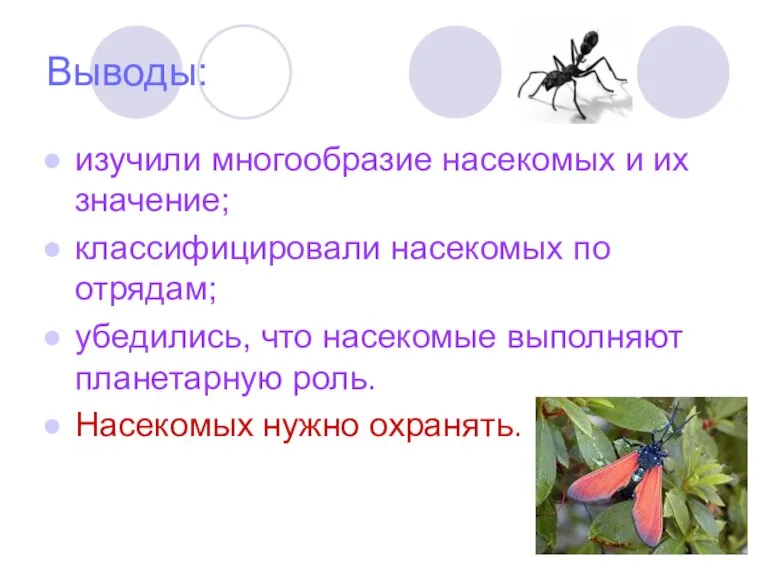 Выводы: изучили многообразие насекомых и их значение; классифицировали насекомых по отрядам; убедились,