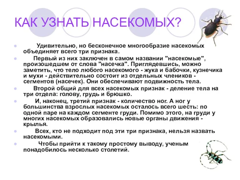 КАК УЗНАТЬ НАСЕКОМЫХ? Удивительно, но бесконечное многообразие насекомых объединяет всего три признака.