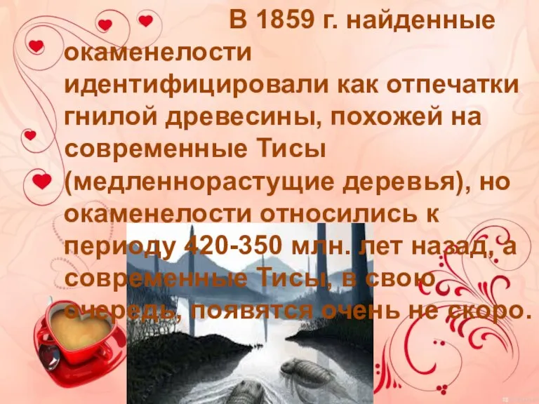 В 1859 г. найденные окаменелости идентифицировали как отпечатки гнилой древесины, похожей на