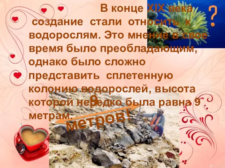 9 метров! В конце XIX века создание стали относить к водорослям. Это