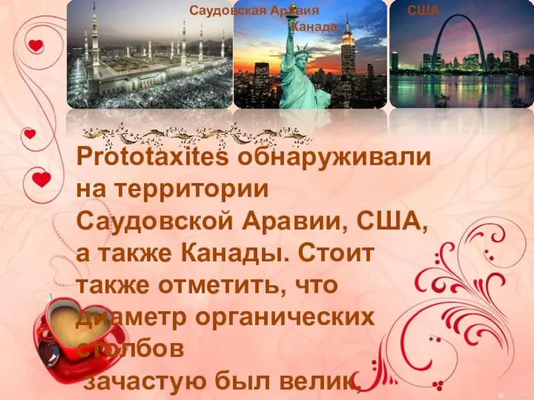 Саудовская Аравия США Канада Prototaxites обнаруживали на территории Саудовской Аравии, США, а