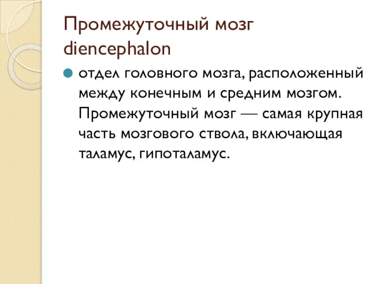 Промежуточный мозг diencephalon отдел головного мозга, расположенный между конечным и средним мозгом.