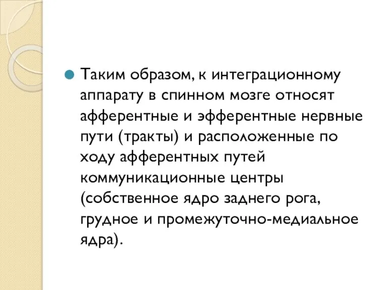 Таким образом, к интеграционному аппарату в спинном мозге относят афферентные и эфферентные