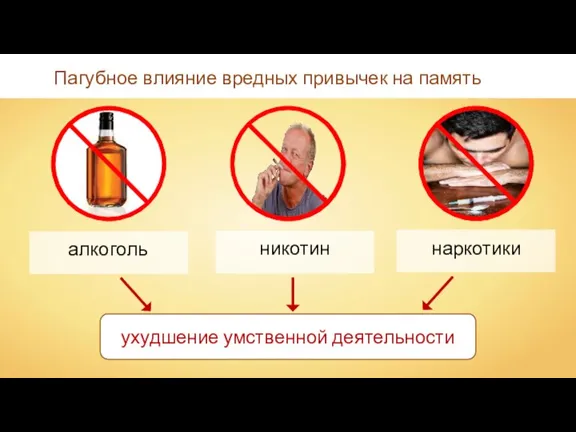 ухудшение умственной деятельности Пагубное влияние вредных привычек на память алкоголь никотин наркотики