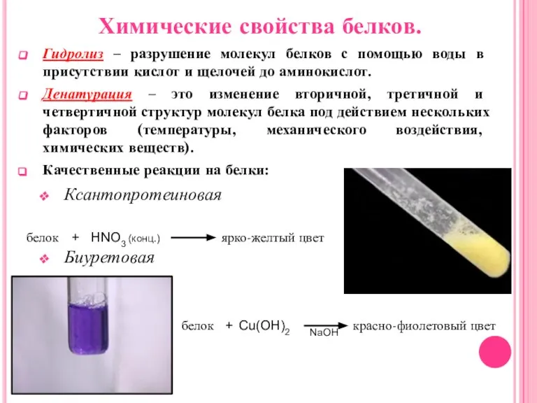 Гидролиз – разрушение молекул белков с помощью воды в присутствии кислот и