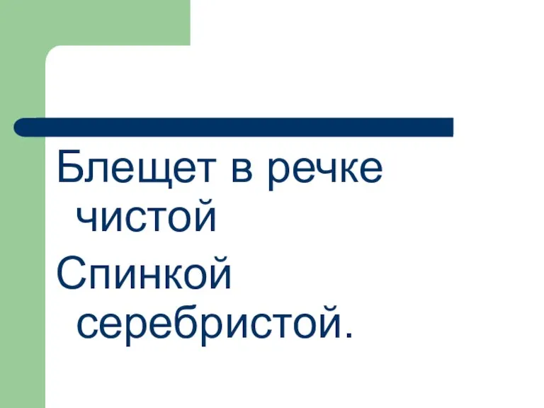 Блещет в речке чистой Спинкой серебристой.